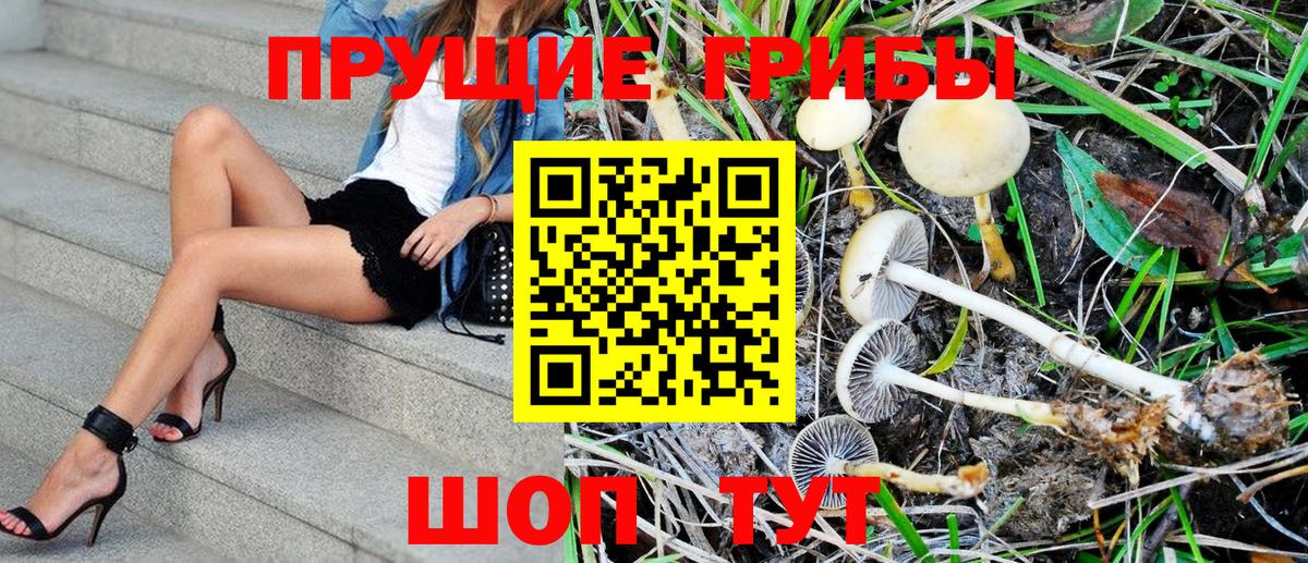 Псилоцибиновые грибы MAGIC MUSHROOMS Феодосия