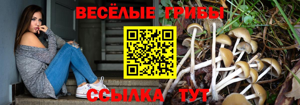Феодосия  Галлюциногенные грибы ЛСД  Вход с VPN 